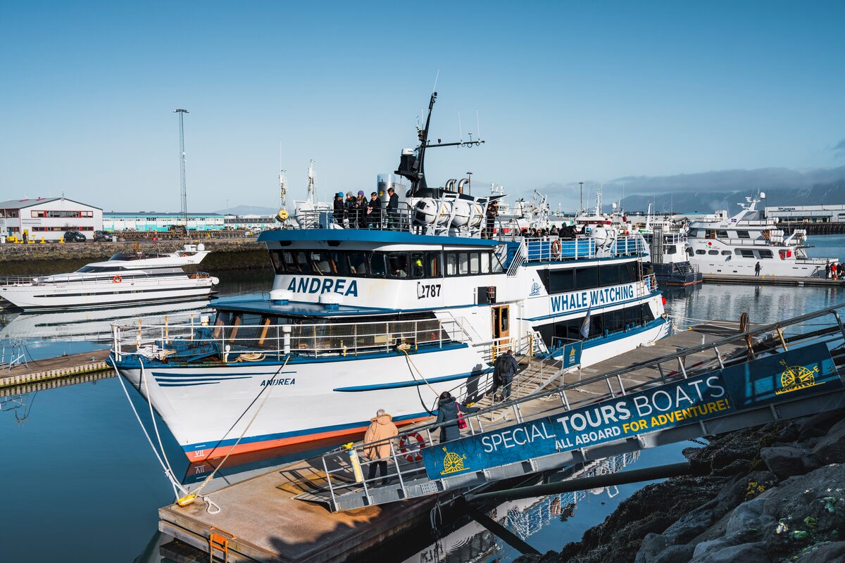 Special Tours whale watching tour boat at Reykjavik harbor in Iceland.