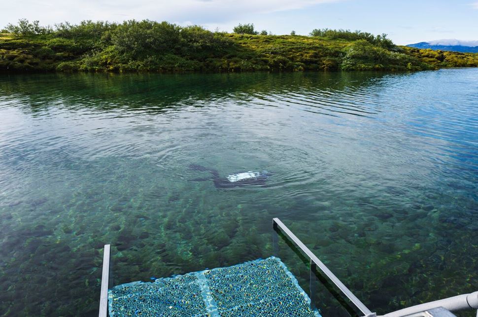 View from above Silfra waters of a person snorkeling in the clear waters.