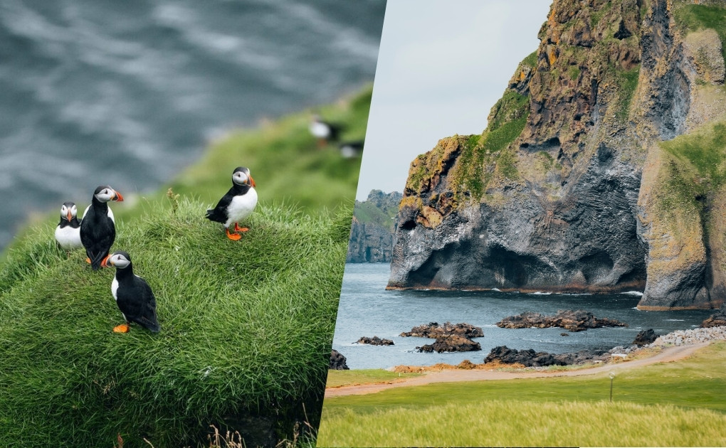 Westman Islands, Volcanoes & Puffins Tour