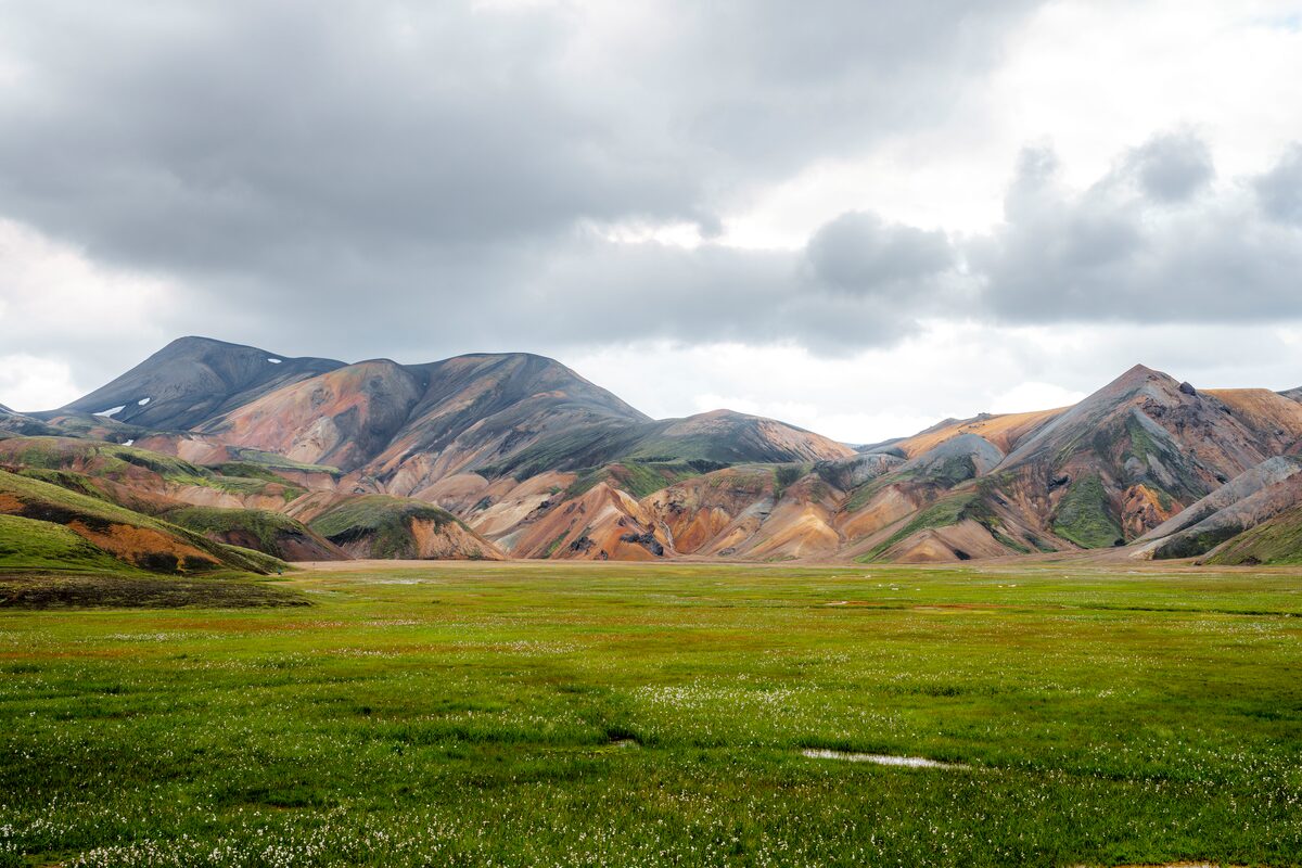 Rhyolite mountains in Landmannalaugar, behind a lushious green field of grass during summer months, overcast skies.