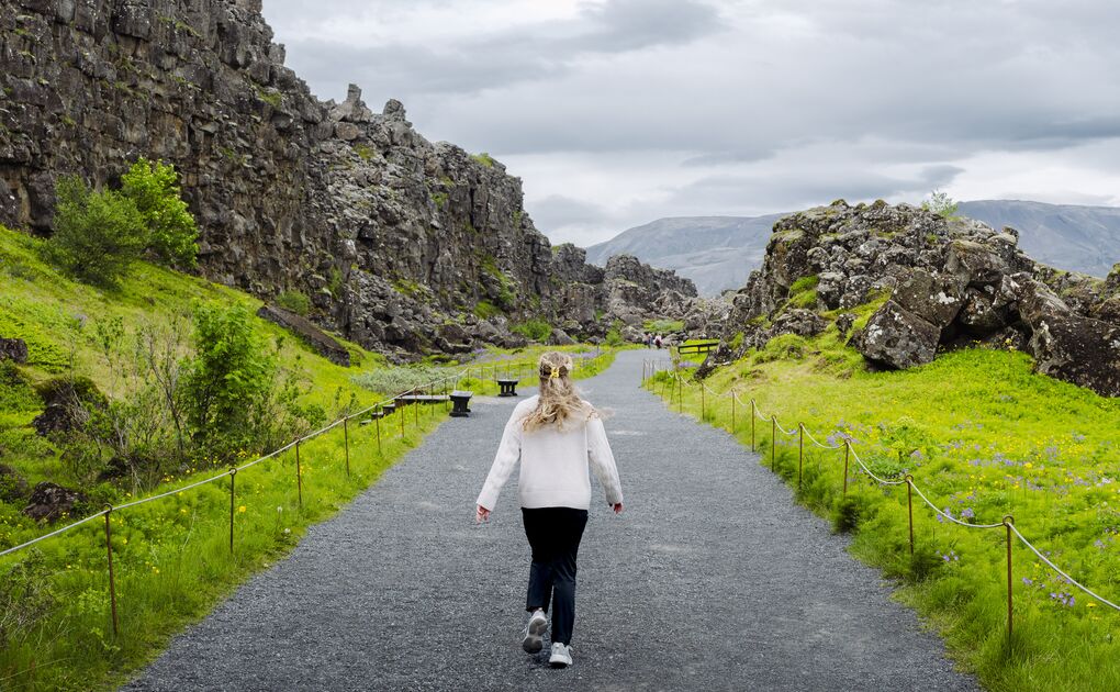 Classic Golden Circle Full Day Tour