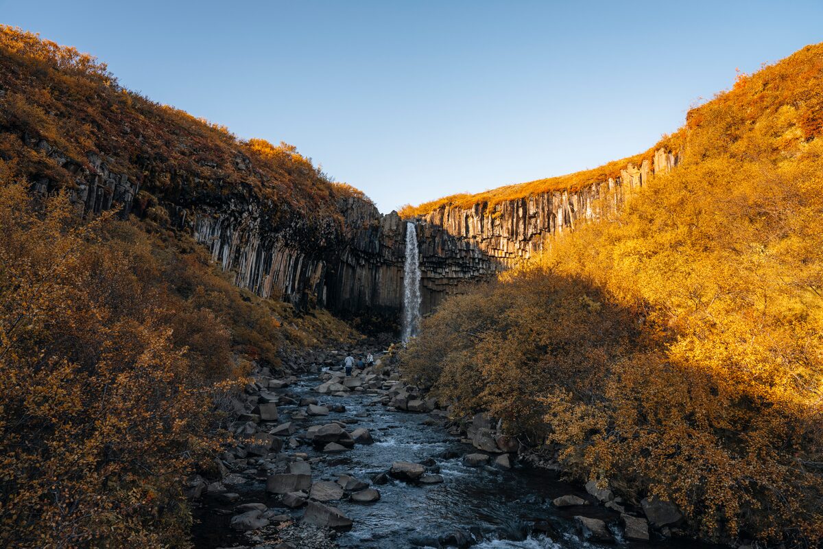Svartifoss waterfall cascading over dark basalt columns, surrounded by golden and orange autumn foliage in Skaftafell, Iceland.
