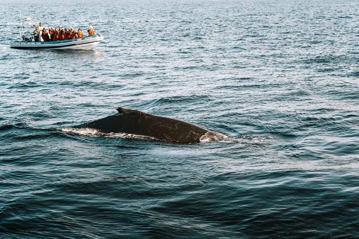 Adventure moments from @lesexpatss