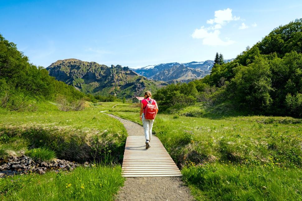 Female walking along wooden footpath in Thorsmork nature reserve with pink backpack in summer.