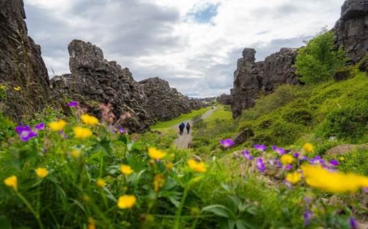 Your Ultimate Guide to Iceland in July Your Ultimate Guide to Iceland in July