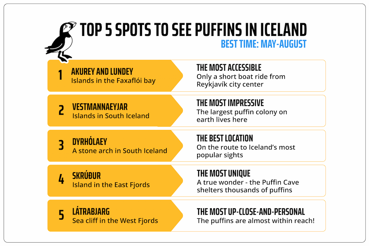 Infographic showing the places to spot puffins in Iceland, including Dyrhólaey and the Westman Islands.