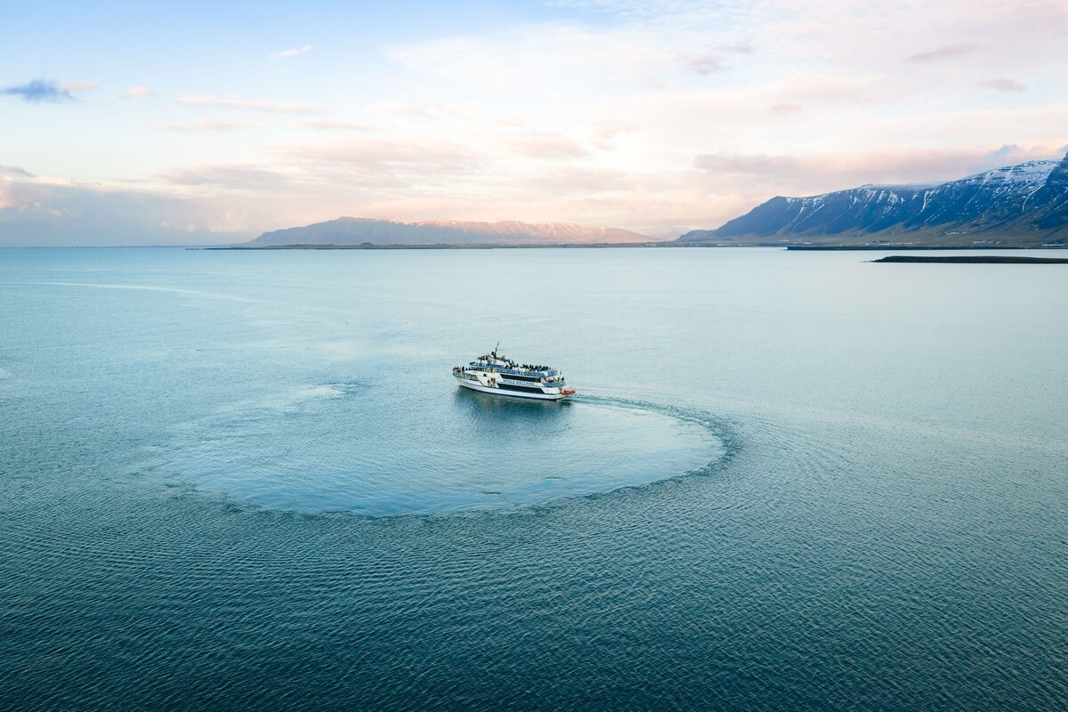 Aerial view of whale watching tour Andrea tour boat sailing through sea during sunset.