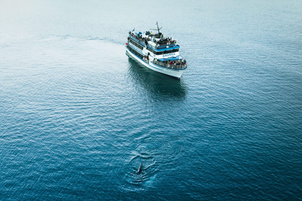 Whale Watching Tour On Boat Near Reykjavik Iceland