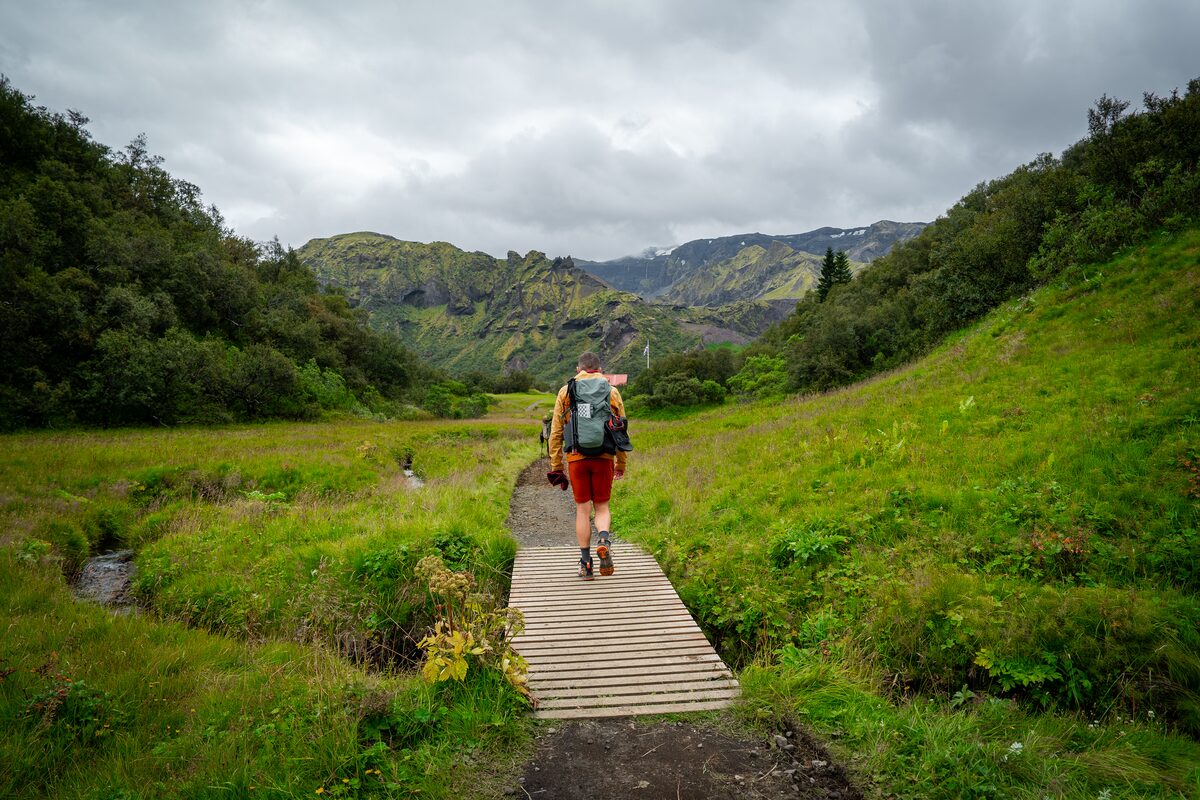 Hiker walking across foot bridge, surrounded by green foliage at Thorsmork area, laugavegur trail.