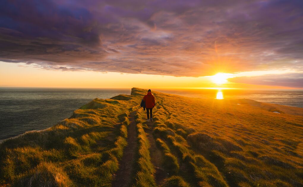 3-Day Westfjords Highlights Adventure 