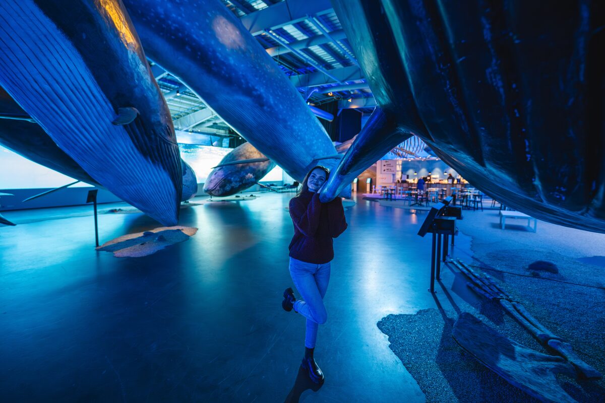 Woman Posing At Whales Of Iceland Museum in iceland
