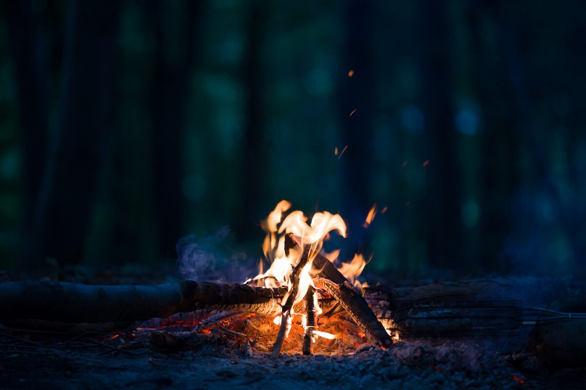 Campfire In The Forrest in iceland