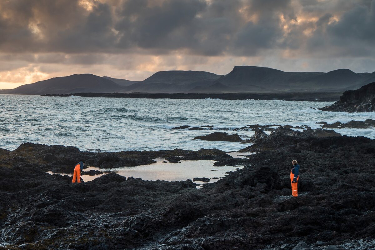 Two People Walking On Lava Field Near Water in Iceland
