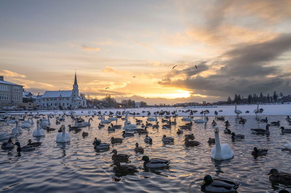 What to See in Reykjavik in One Day: Best Sights and Map