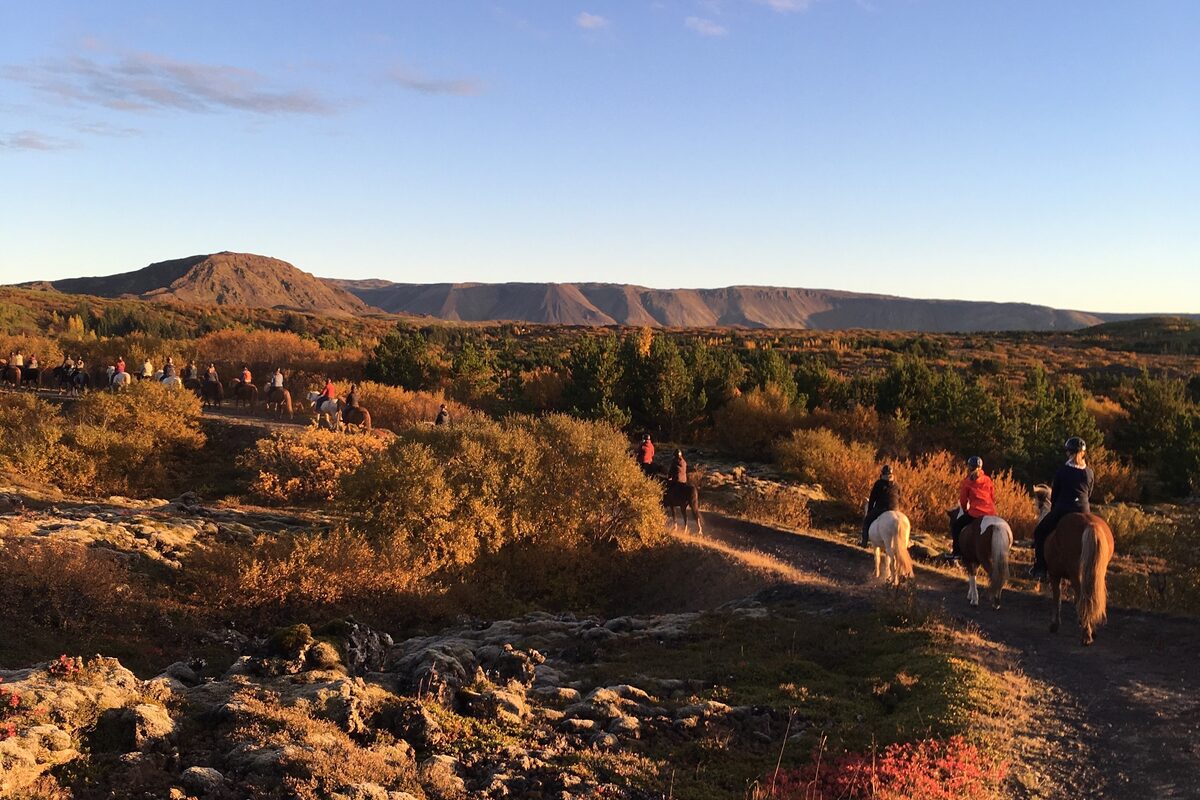 Horse riders on a trail through lava fields near Reykjavik, with low mountains in the distance.