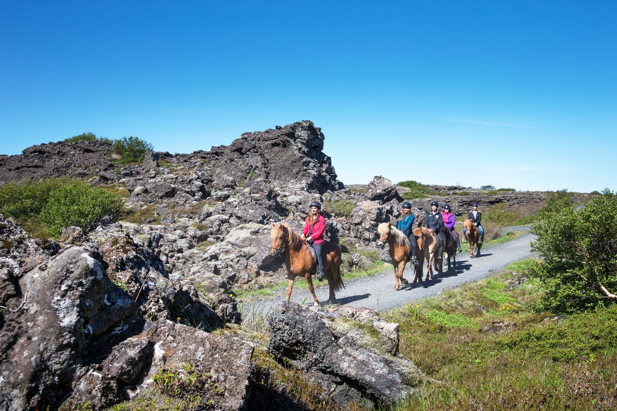Group horse ride on a gravel trail through mossy lava rocks under a clear blue sky.