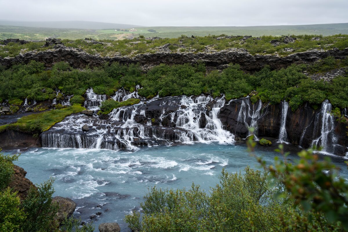Hraunfossar waterfall with streams flowing through a mossy lava field into a blue river in West Iceland.
