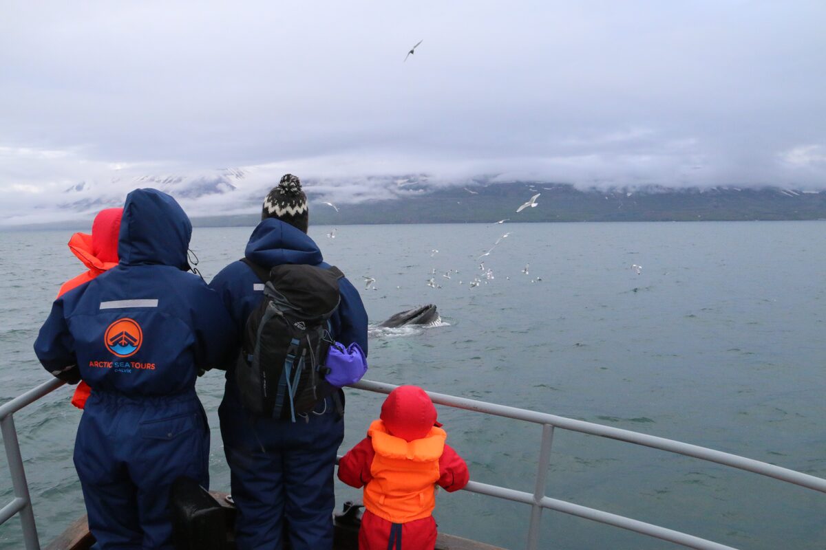 Family On A Boat Whale Watching Tour in Iceland