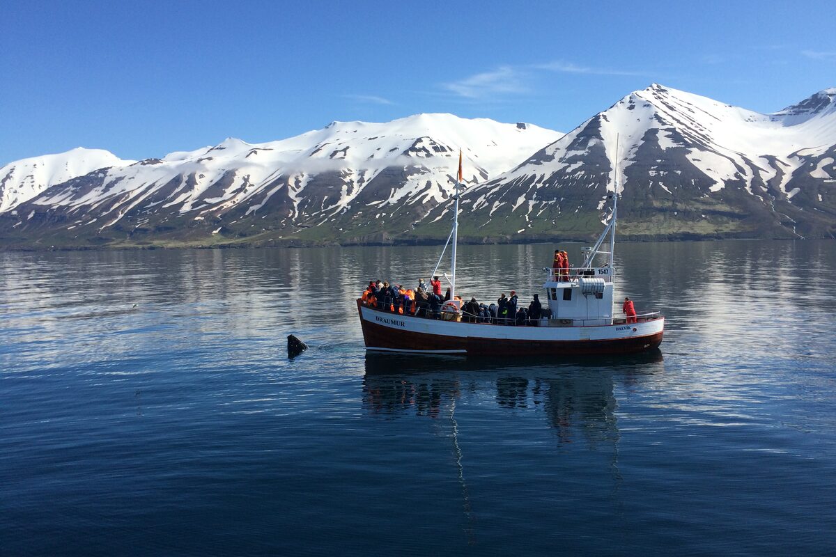 People On A Boat Whale Watching Tour With Mountains In The Background in Iceland