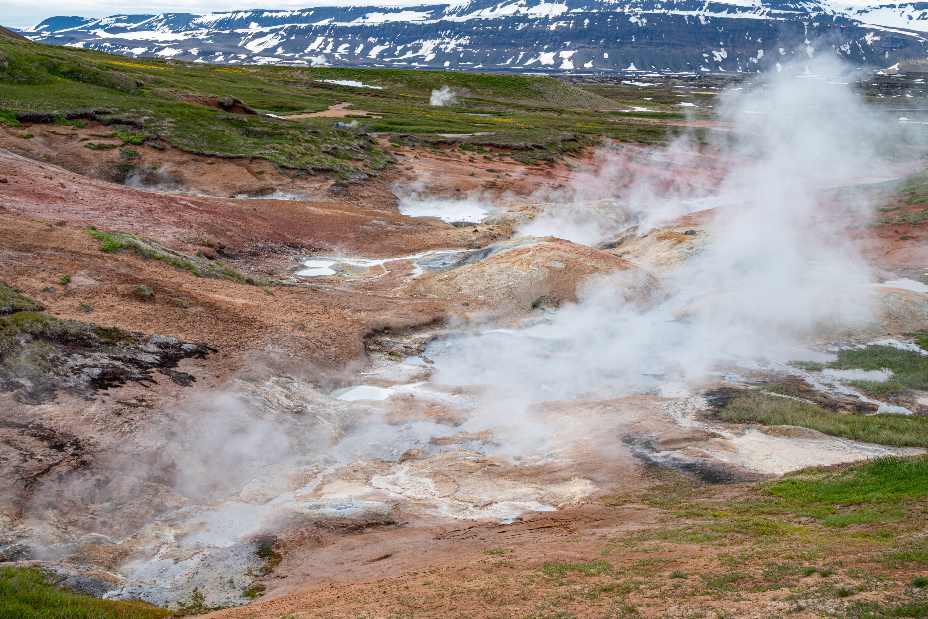 Steam rising from the Þeistareykir geothermal area in North Iceland with snow-streaked mountains behind.