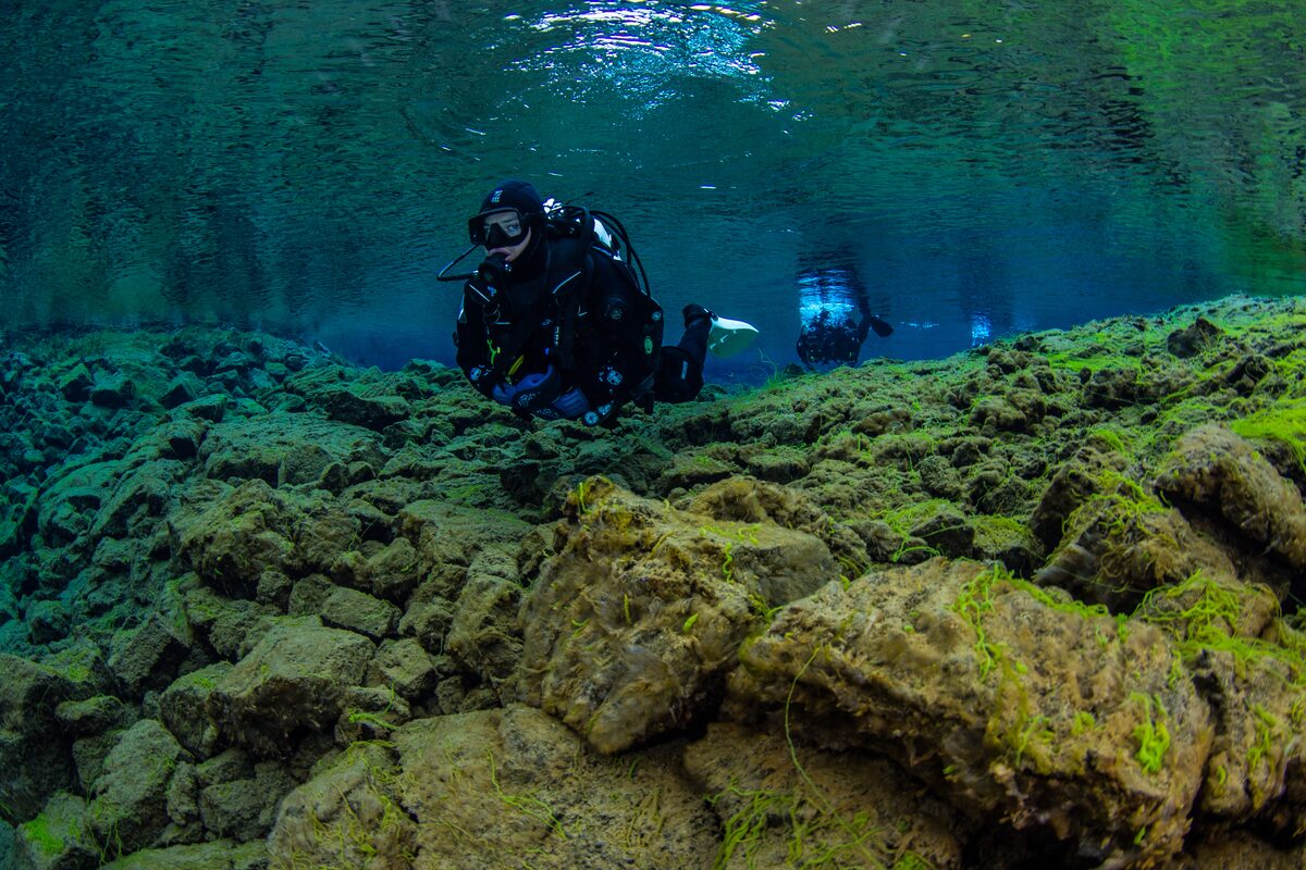 Diving Tour In Silfra in Iceland