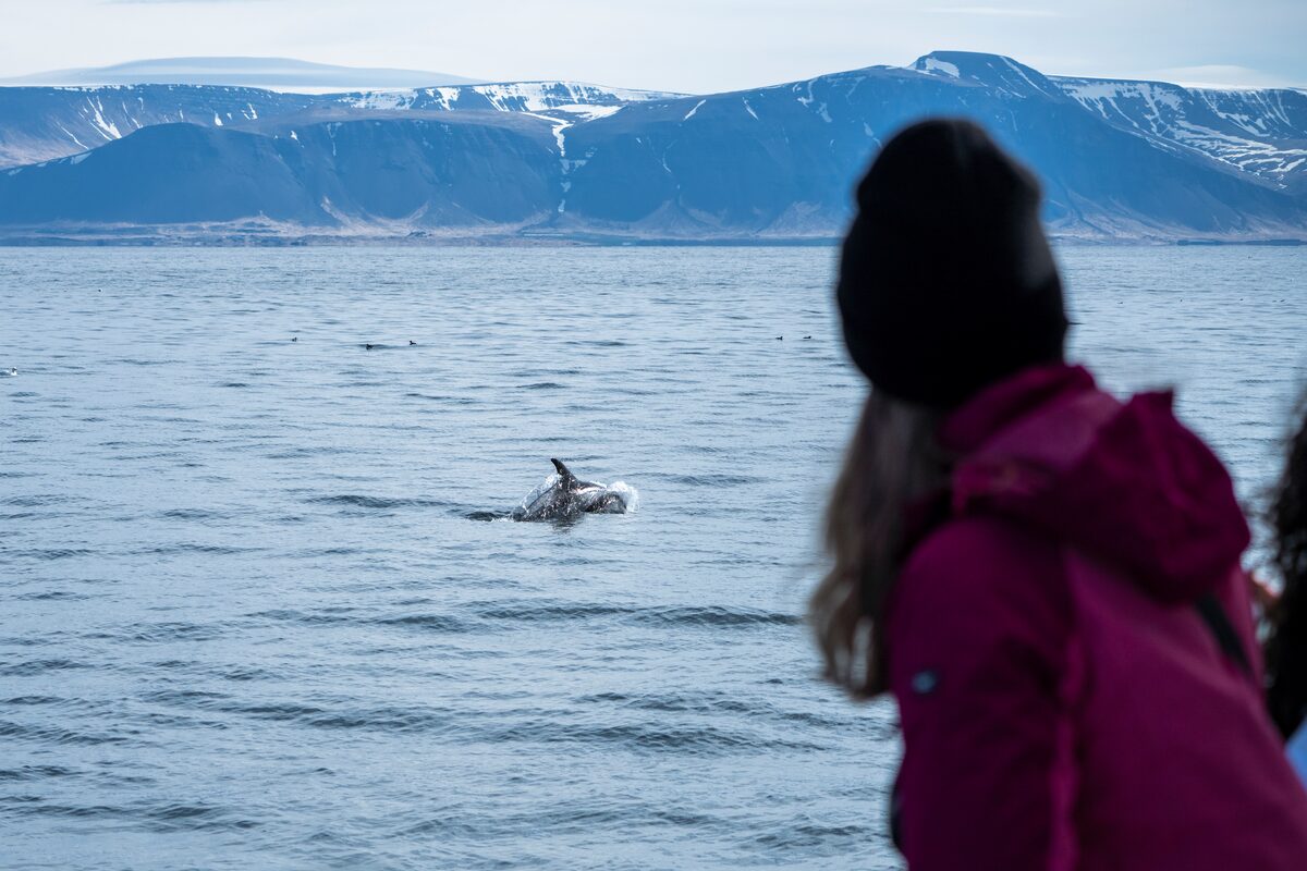 Arctic Adventures FAM trip at whale watching tour.