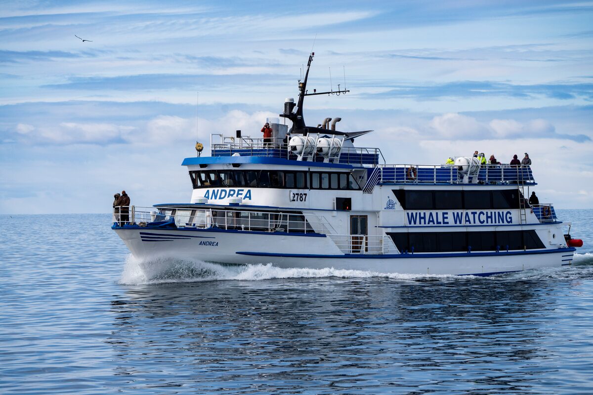 Arctic Adventures x special tours boat during group FAM trip .
