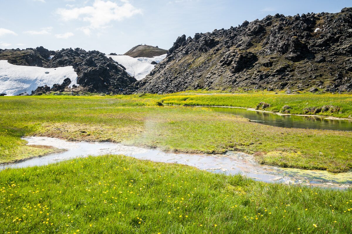Stream and green meadow meeting the Laugahraun lava field at Landmannalaugar, Iceland.
