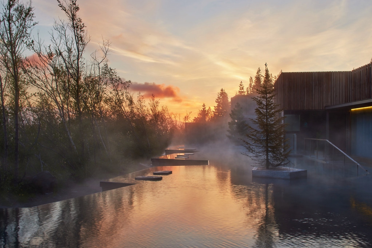 Forest Lagoon At Sunset in Iceland