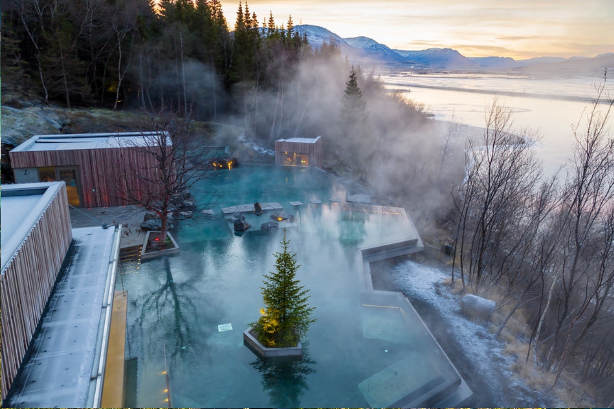 Forest Lagoon Pool View in Iceland