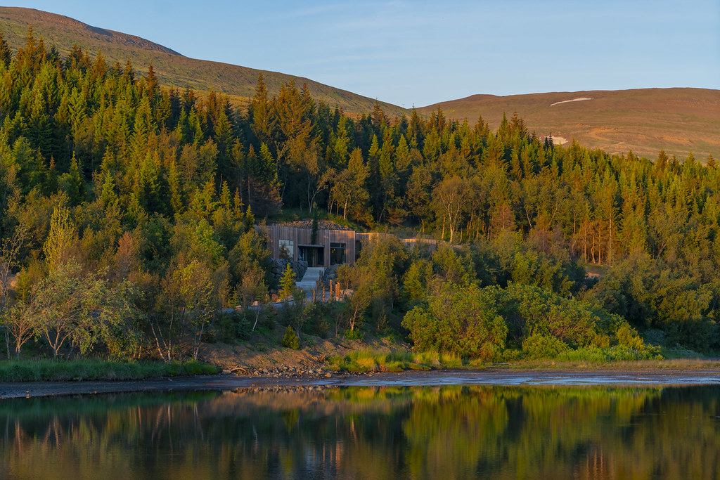 Forest Lagoon At Sunset in Iceland