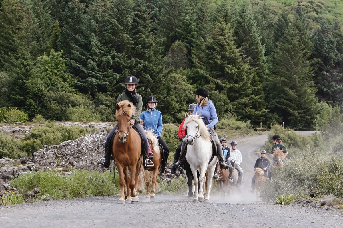 Group Of People On Horses Riding On A Gravel Road in Iceland