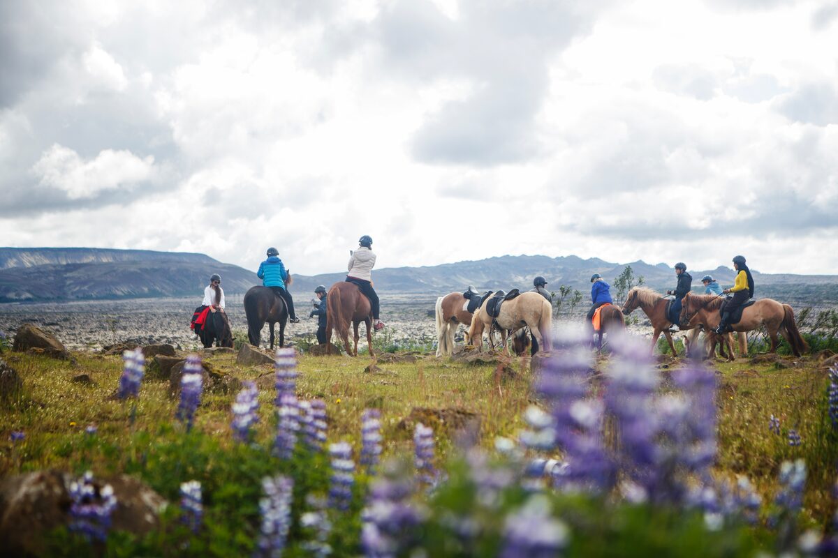 People On Horses With Mountains In The Background in Iceland