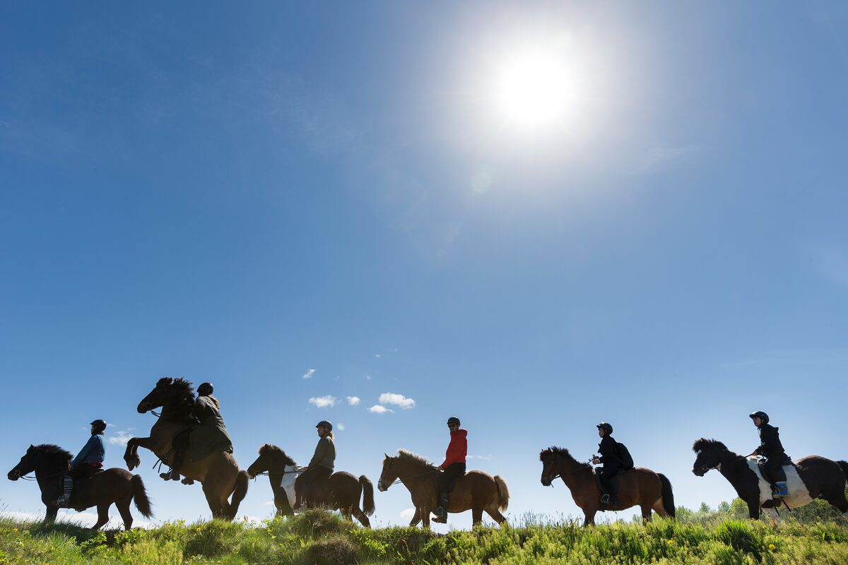 People Riding On Horses With The Sun High In The Sky in Iceland