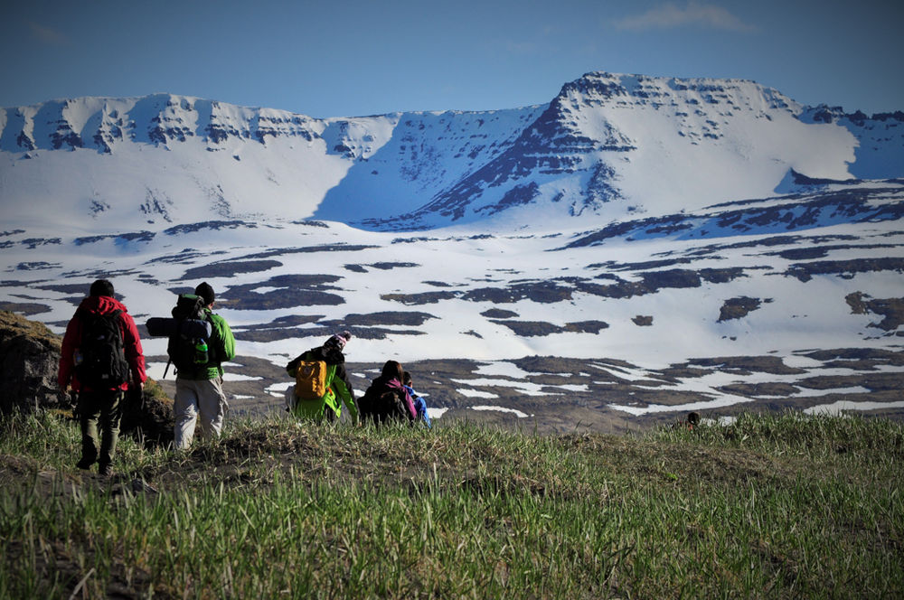 Hikers Walking Through Grass Field With Mountains In The Background in Iceland