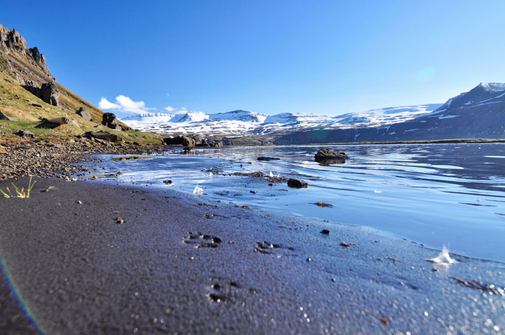 Shore With Snowy Mountains In The Background in Iceland