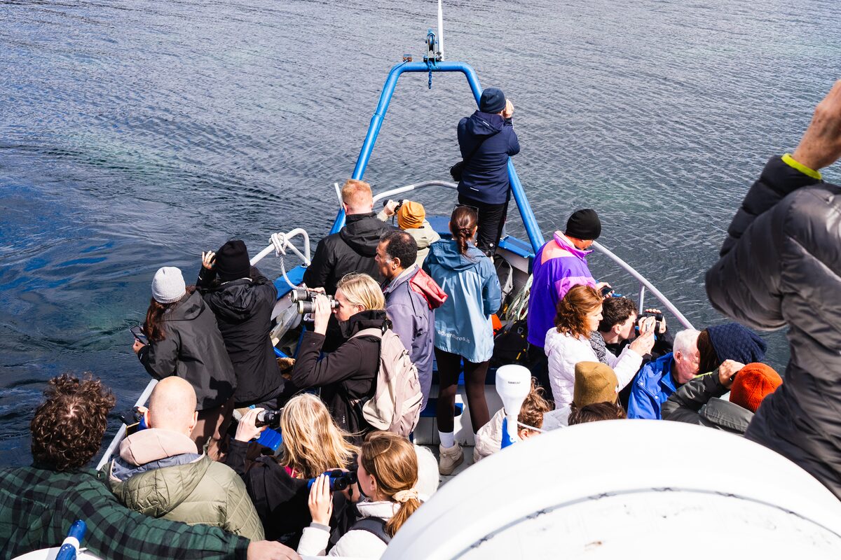 Boat Filled With People On Water in Iceland