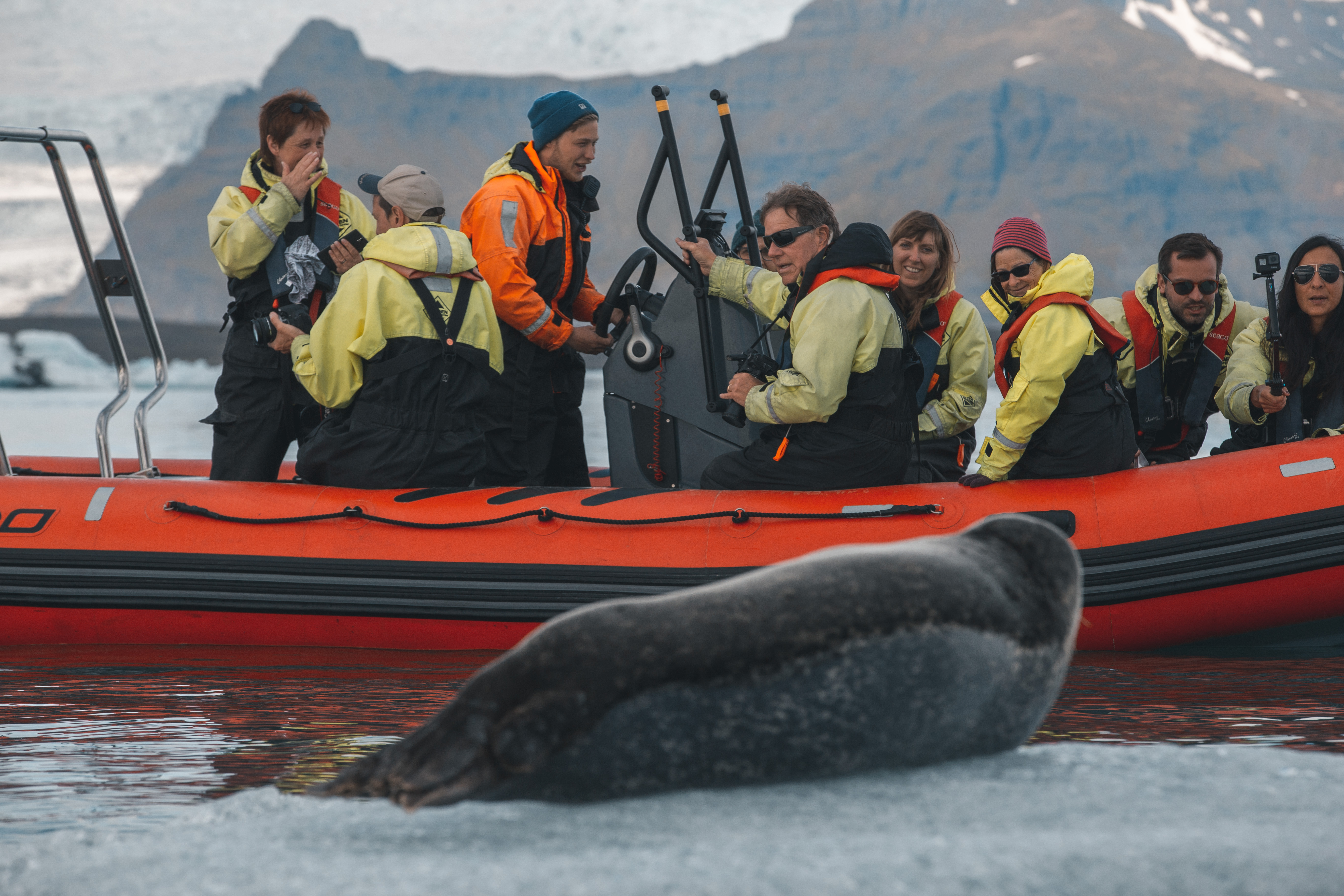 People On A Zodiac Boat Tour Taking Pictures Of A Seal At Jokulsarlon Galcier Lagoon in Iceland