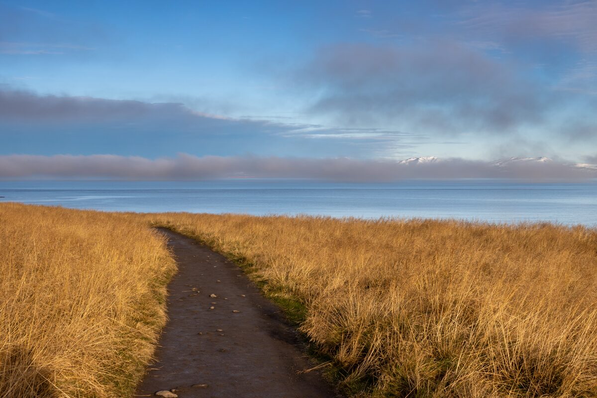 Narrow footpath through tall grass leading down to the sea under a cloudy sky.