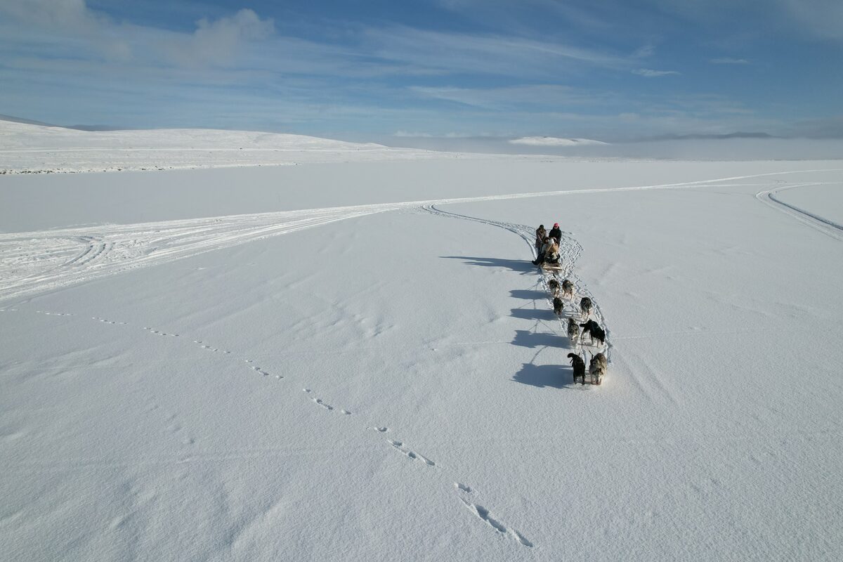 A Sled Being Pulled By A Group Of Huskies On A Snowy Field in Iceland