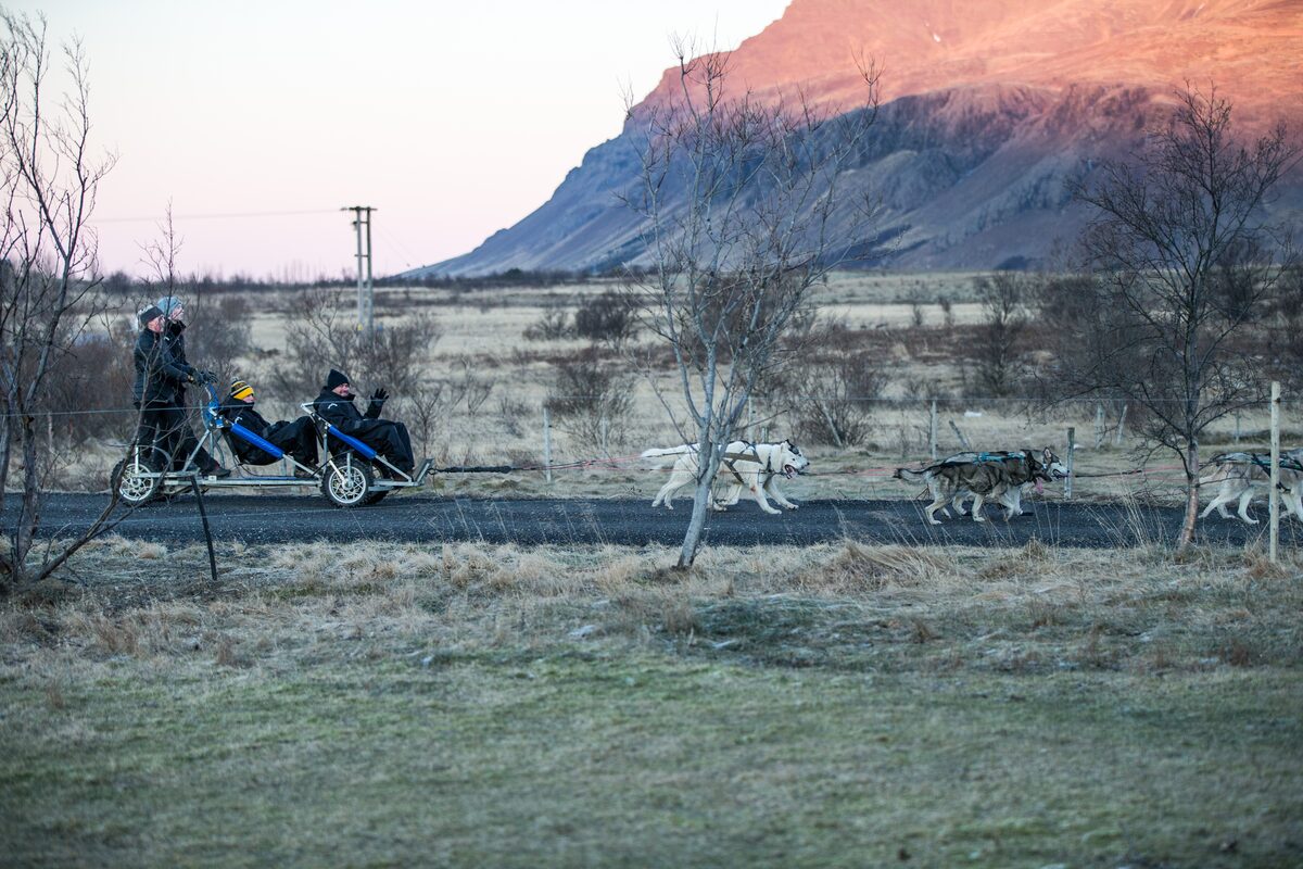 Huskies Pulling A Sled On Gravel Road in Iceland