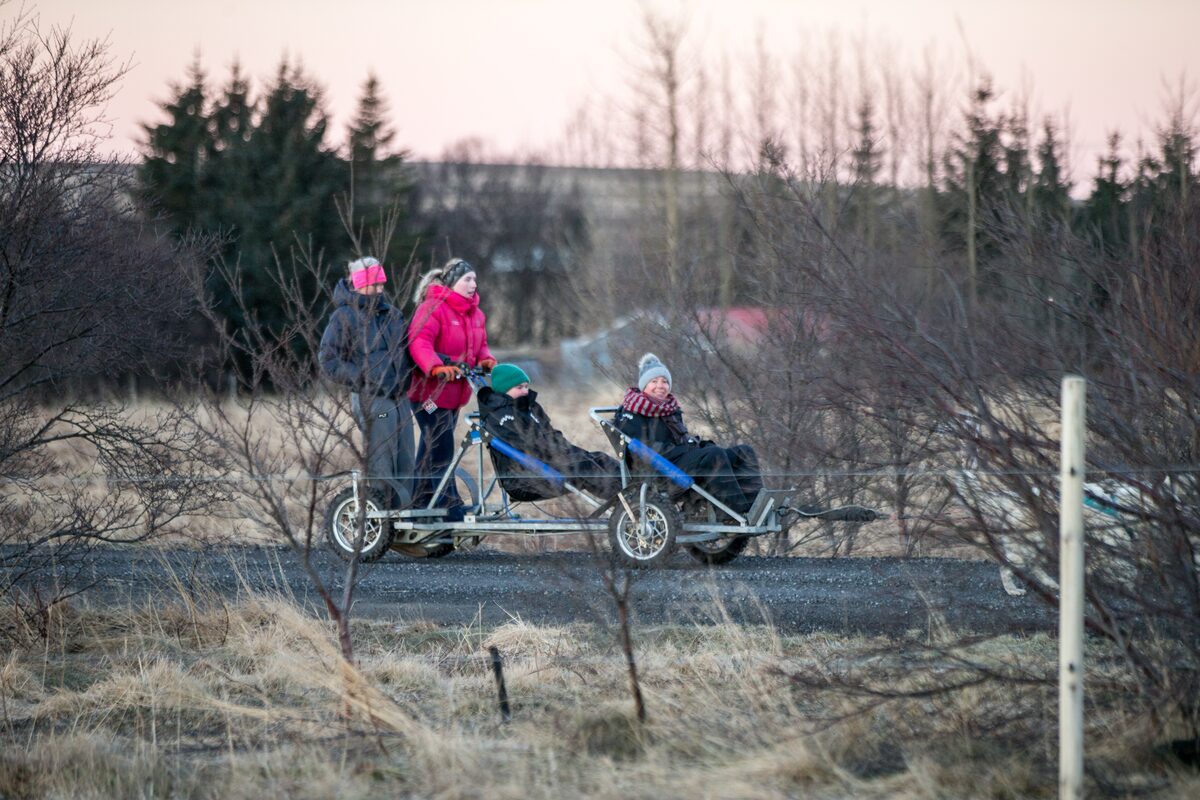 People Mushing With Dogs On Gravel Road in Iceland