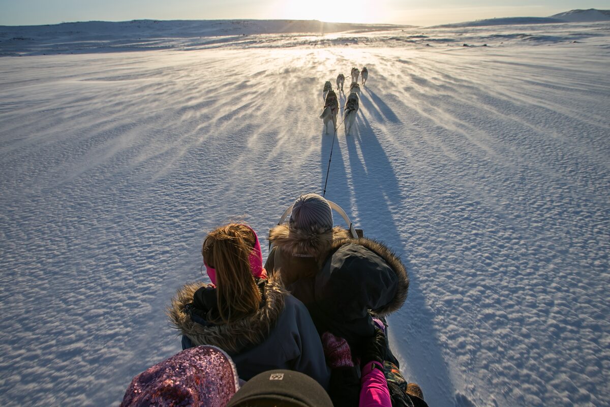 People On A Sled Dog Sleeding With Huskies in Iceland