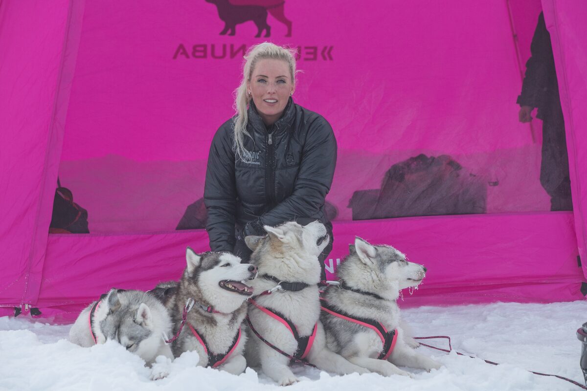 Woman Sitting On Snow With Huskies With A Pink Tent In The Background in Iceland