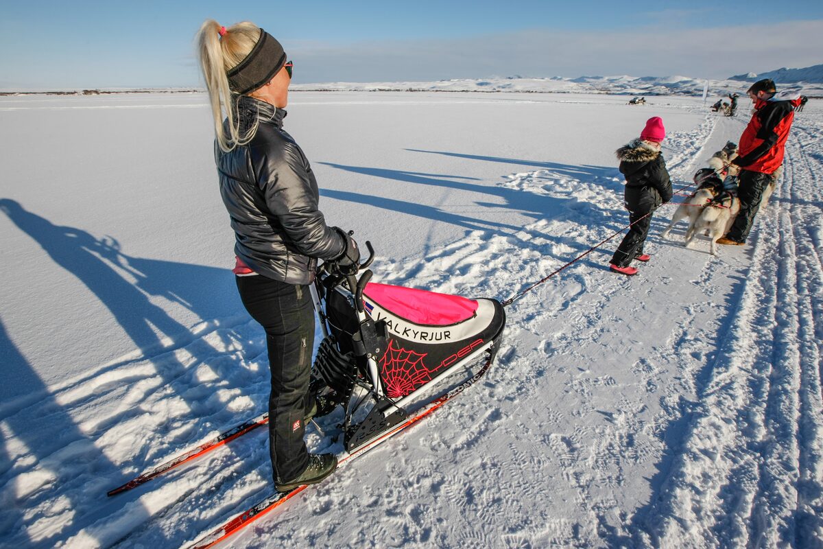 Woman Standing On A Sled With Huskies in Iceland