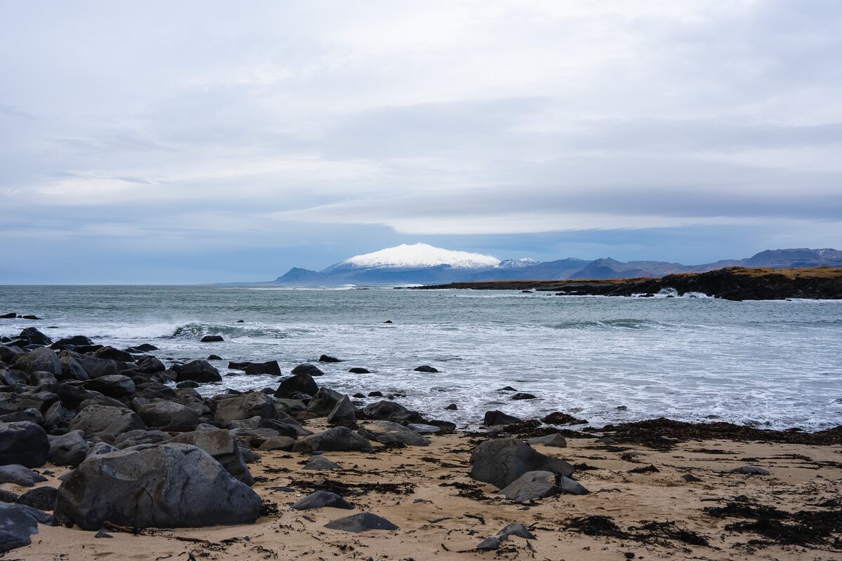 Golden sand and dark rocks at Ytri-Tunga, with snow-capped Snæfellsjökull across the water.