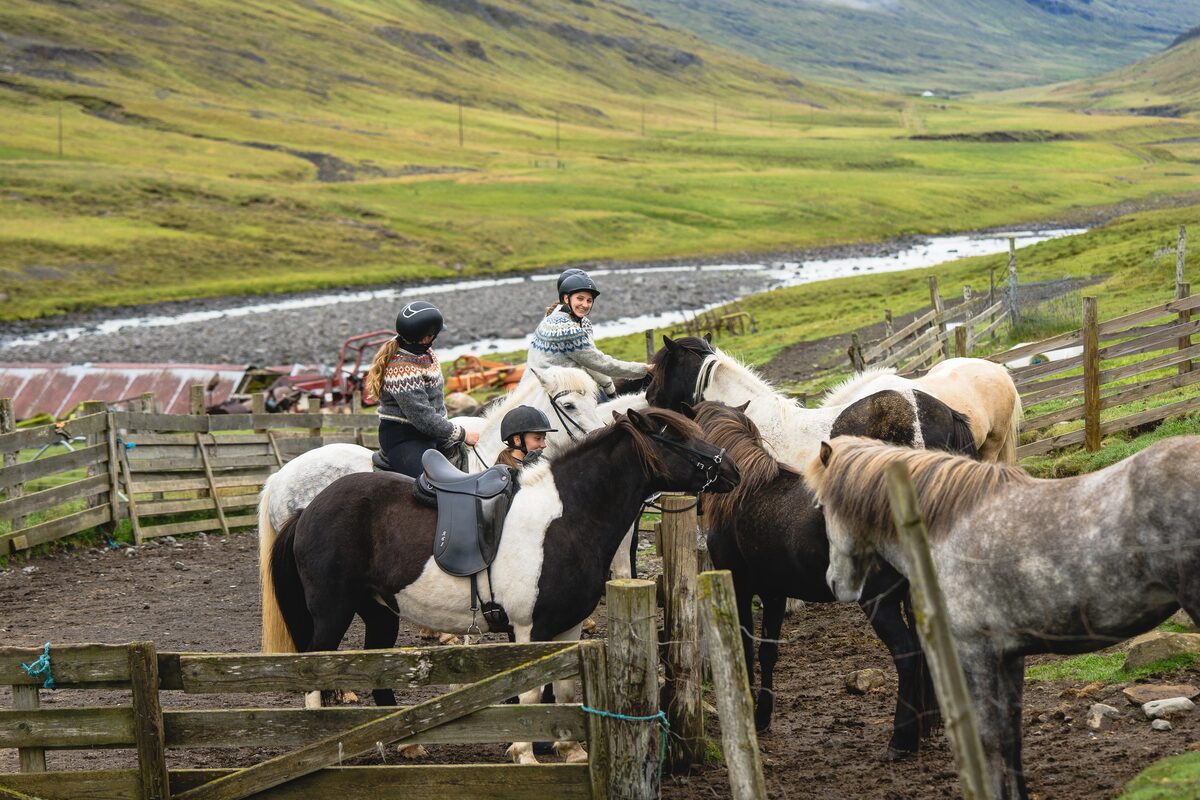 Helmeted riders on Icelandic horses in a fenced paddock beside a river at the Wilderness Center.