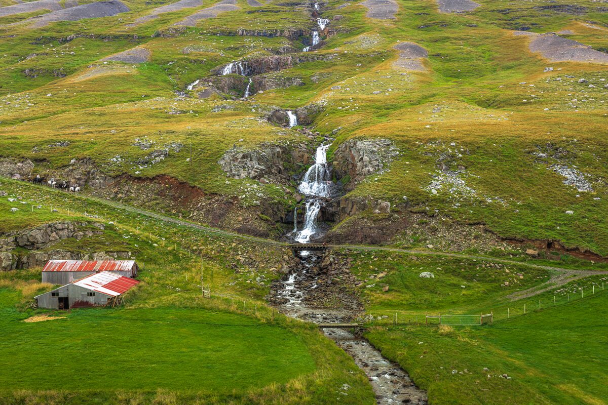 Waterfall descending a green hillside beside a small farm building in East Iceland.