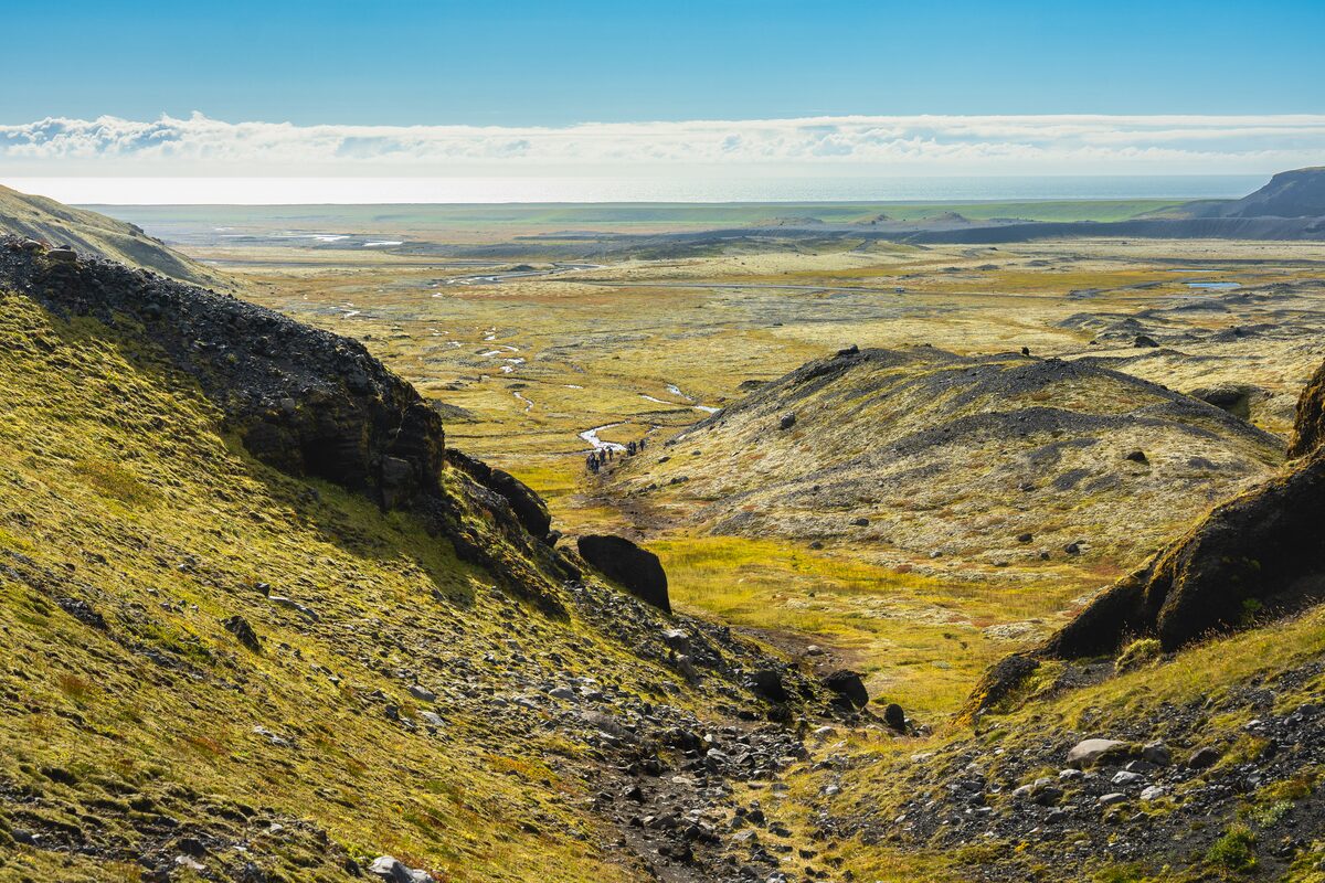 Solheimajokull glacier surrounding moss covered landscape 