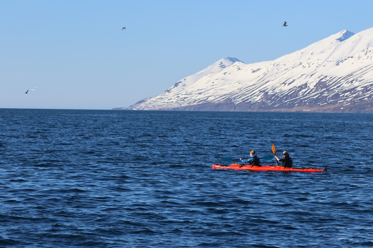 Red Kayak In The Sea in Iceland